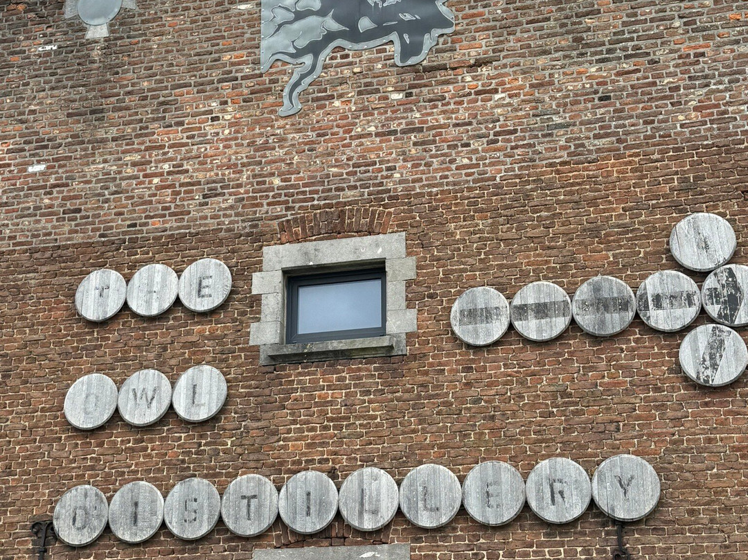 Belgian Owl景点图片