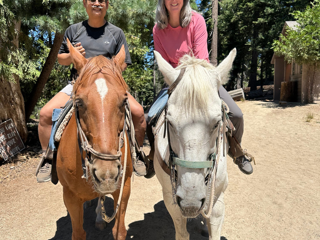 Grant Grove Stables-红杉&国王峡谷国家公园必去景点