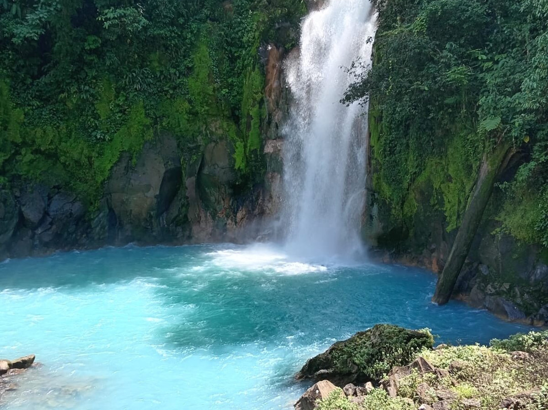Genuine Costa Rica景点图片