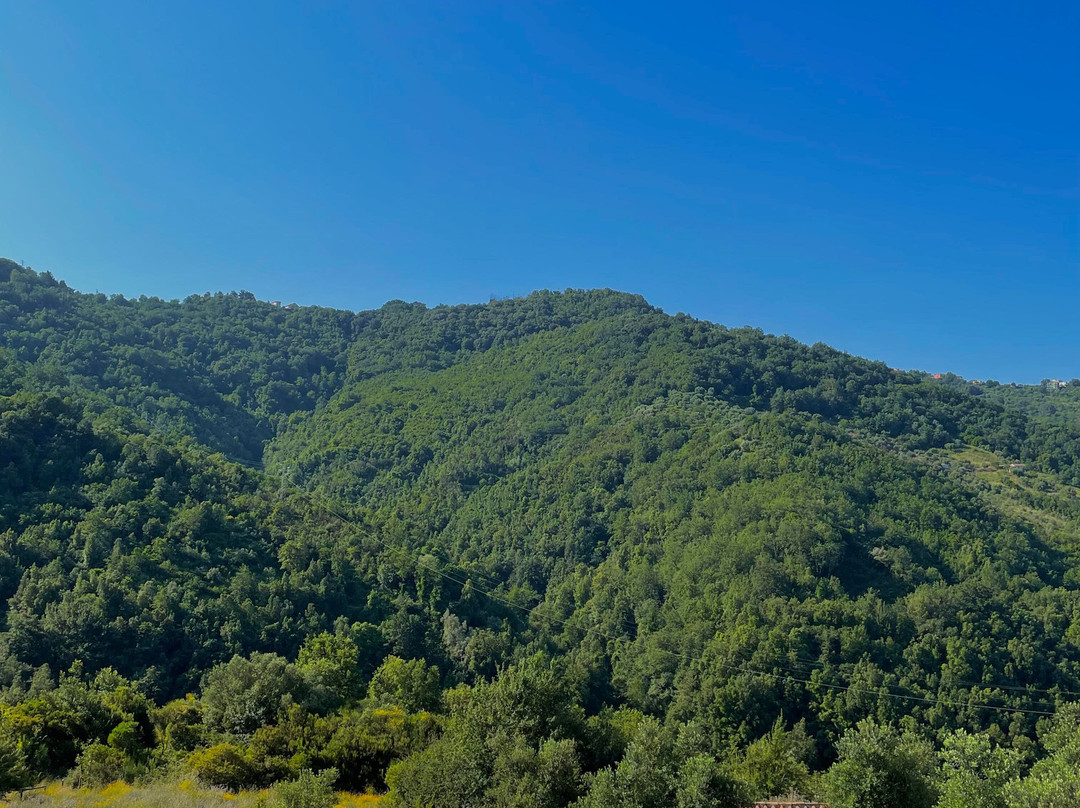 Azienda Agricola Piano di Andrea主图