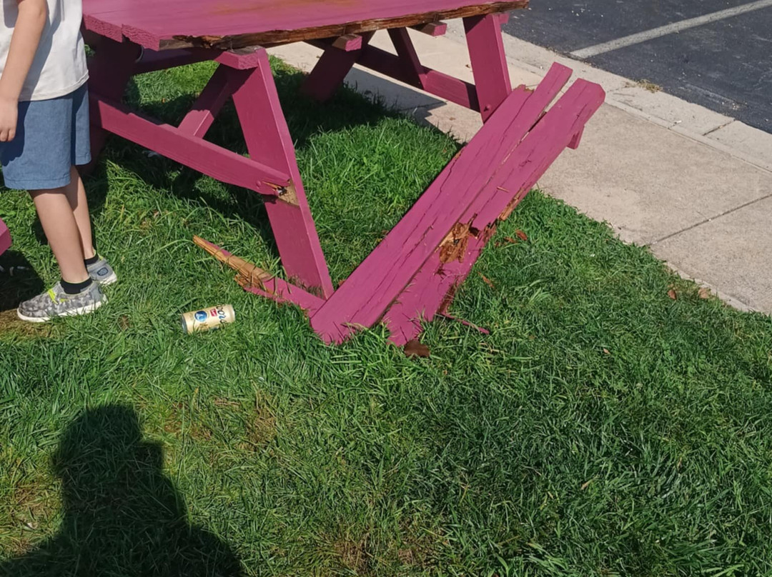 Best Western Plus Waynesboro Inn & Suites Conference Center主图