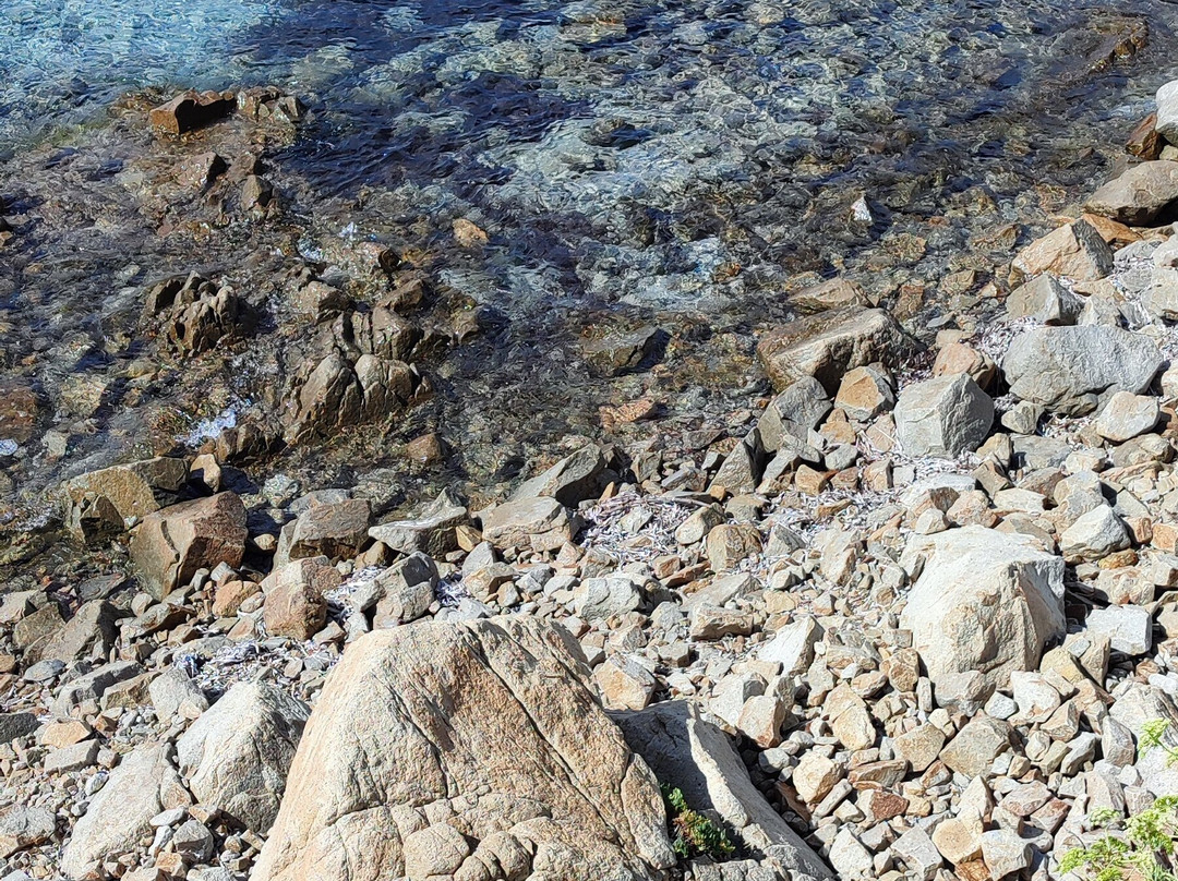 Spiaggia Cala Ginepro e Sa Curcurica-奥罗塞必去景点