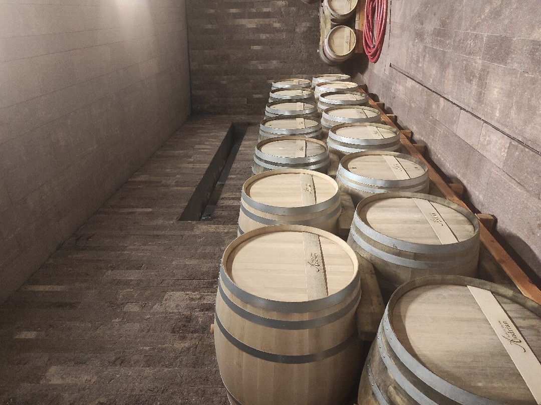 Kellerei Cantina Terlan-Terlano必去景点