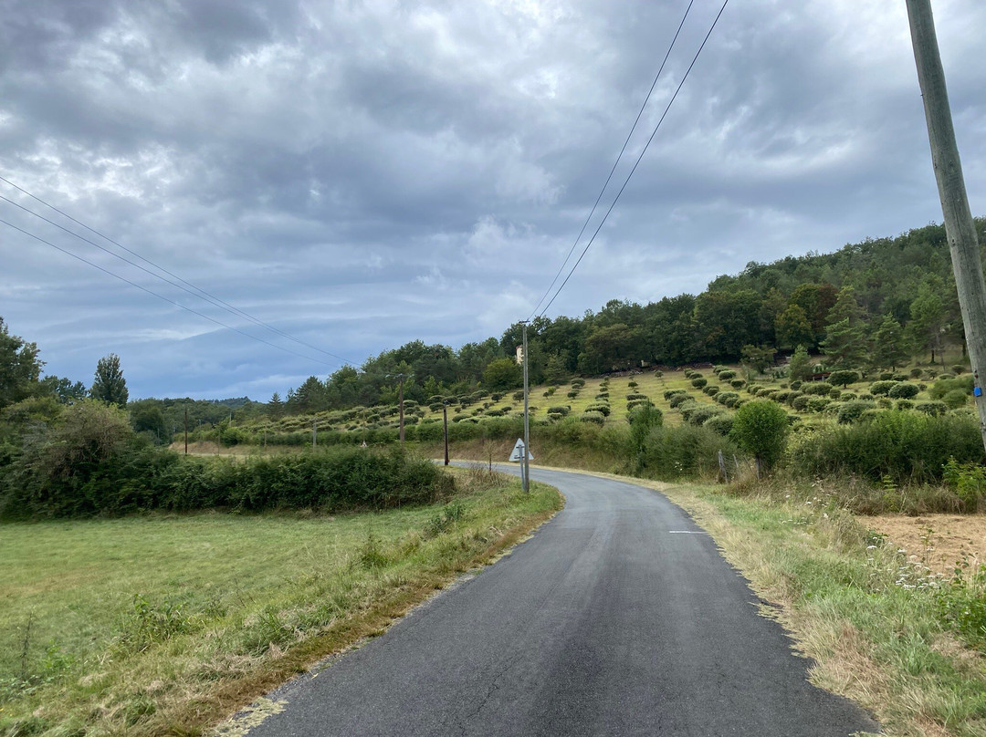 Aquitaine Bike景点图片