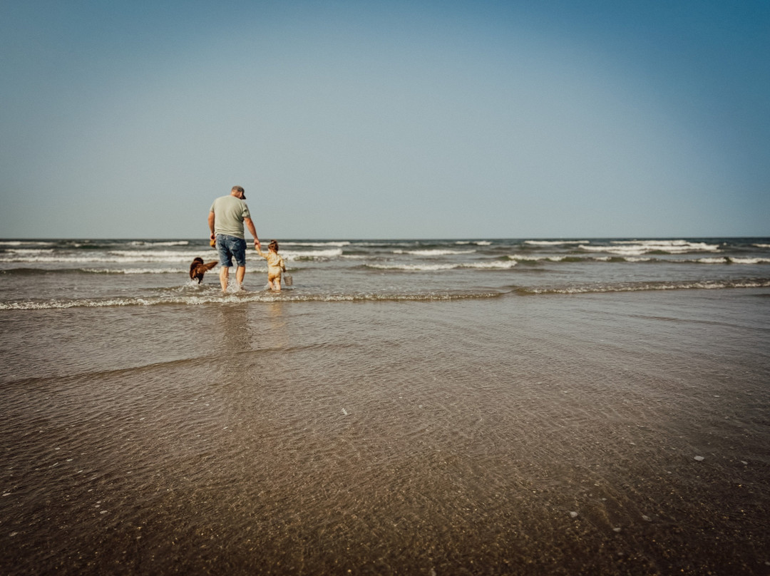 IJmuiden Strand景点图片