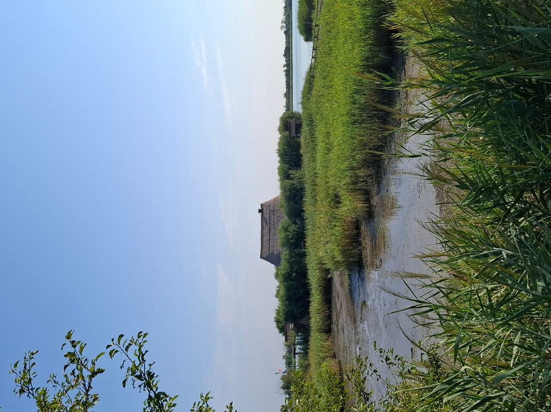 Casoni di Caorle-卡奥莱必去景点