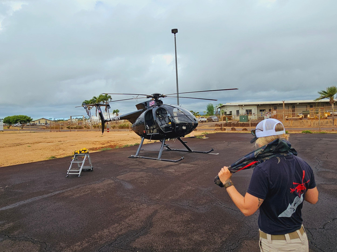 Airborne Aviation Tours-可爱岛必去景点