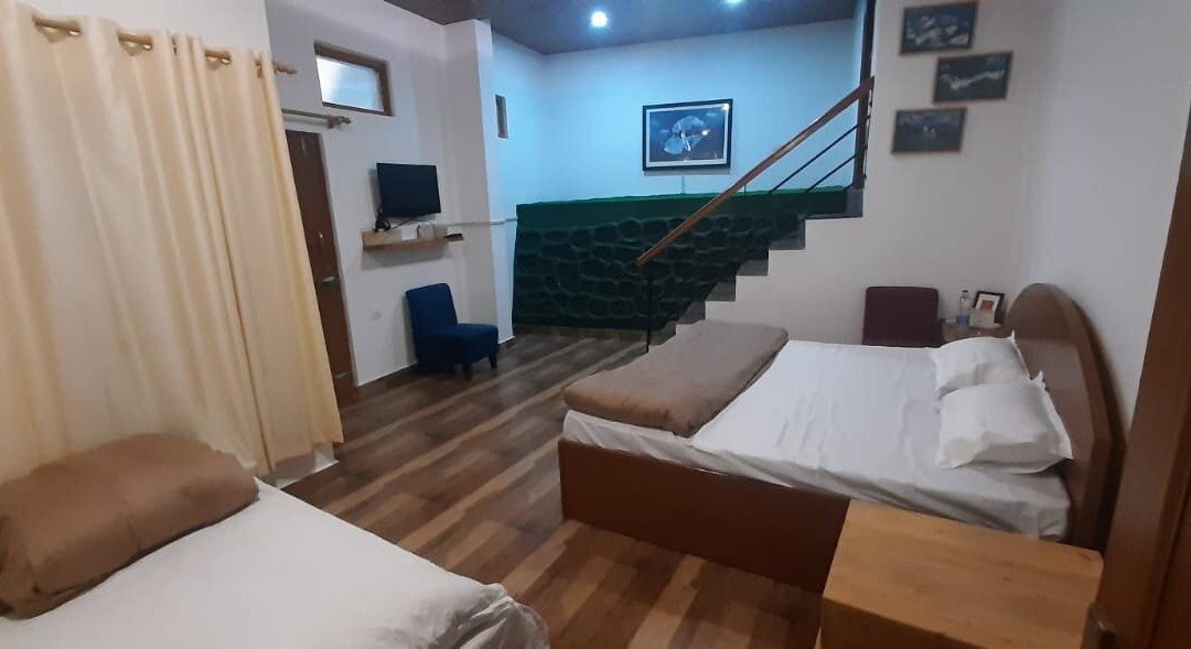 Experto The Greens主图