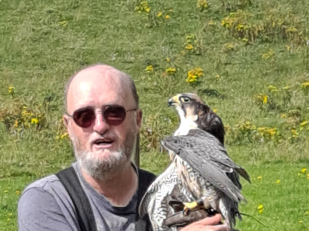 Huntly Falconry-Huntly必去景点