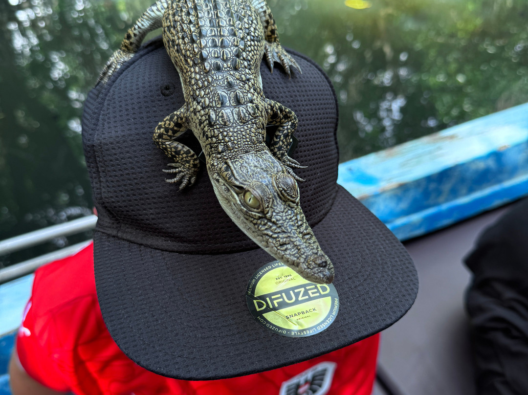 Ahungalla Beach-亚洪加拉必去景点