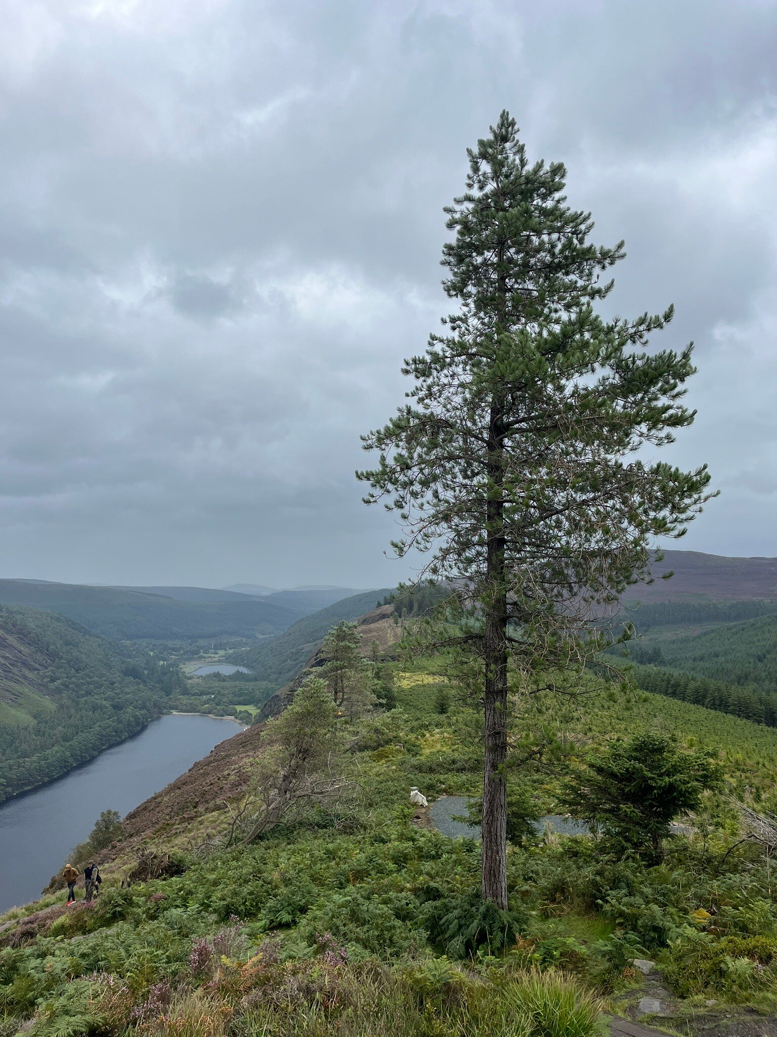 Wicklow Way Lodge-官方