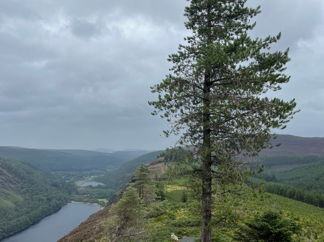Wicklow Way Lodge主图