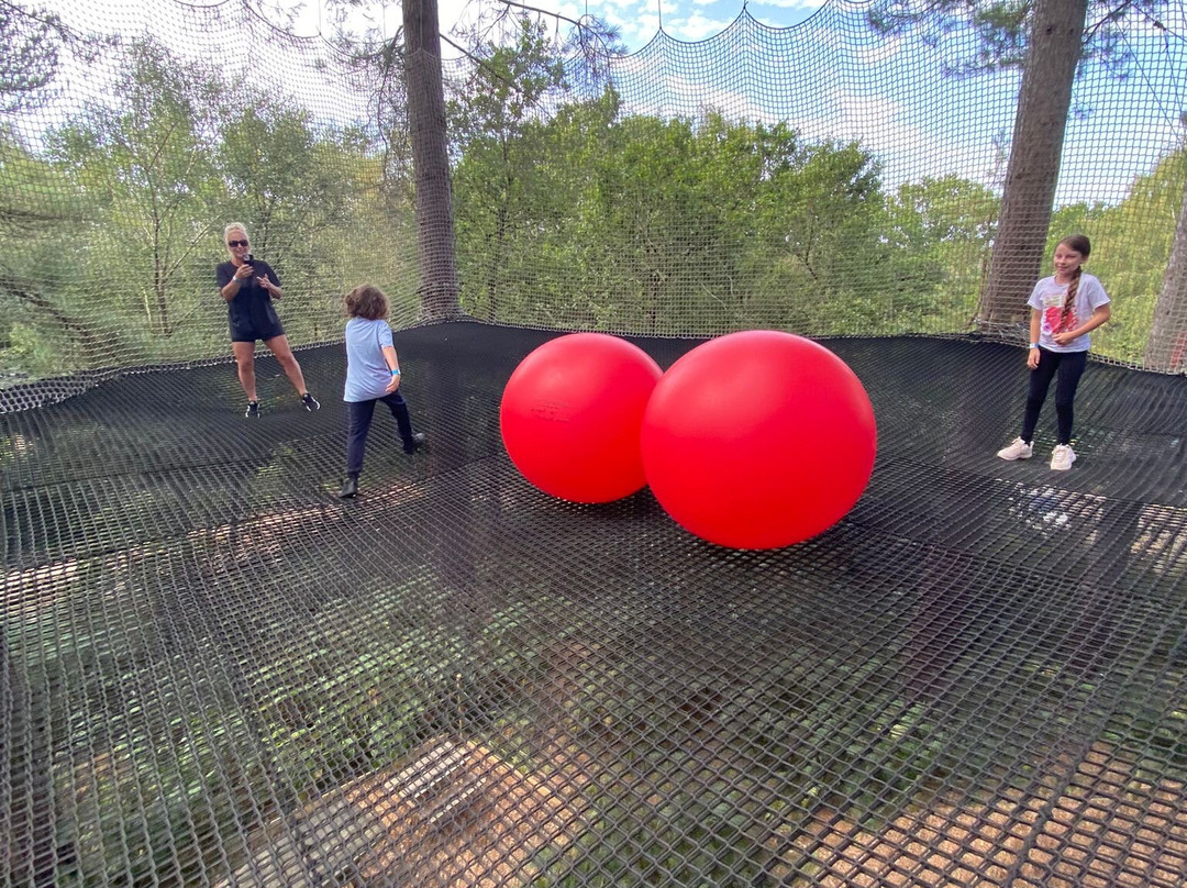 Go Ape Moors Valley-Ringwood必去景点