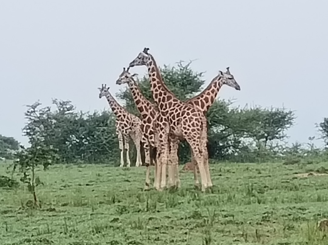Skyplus Aviation And Travel Uganda-恩德培必去景点