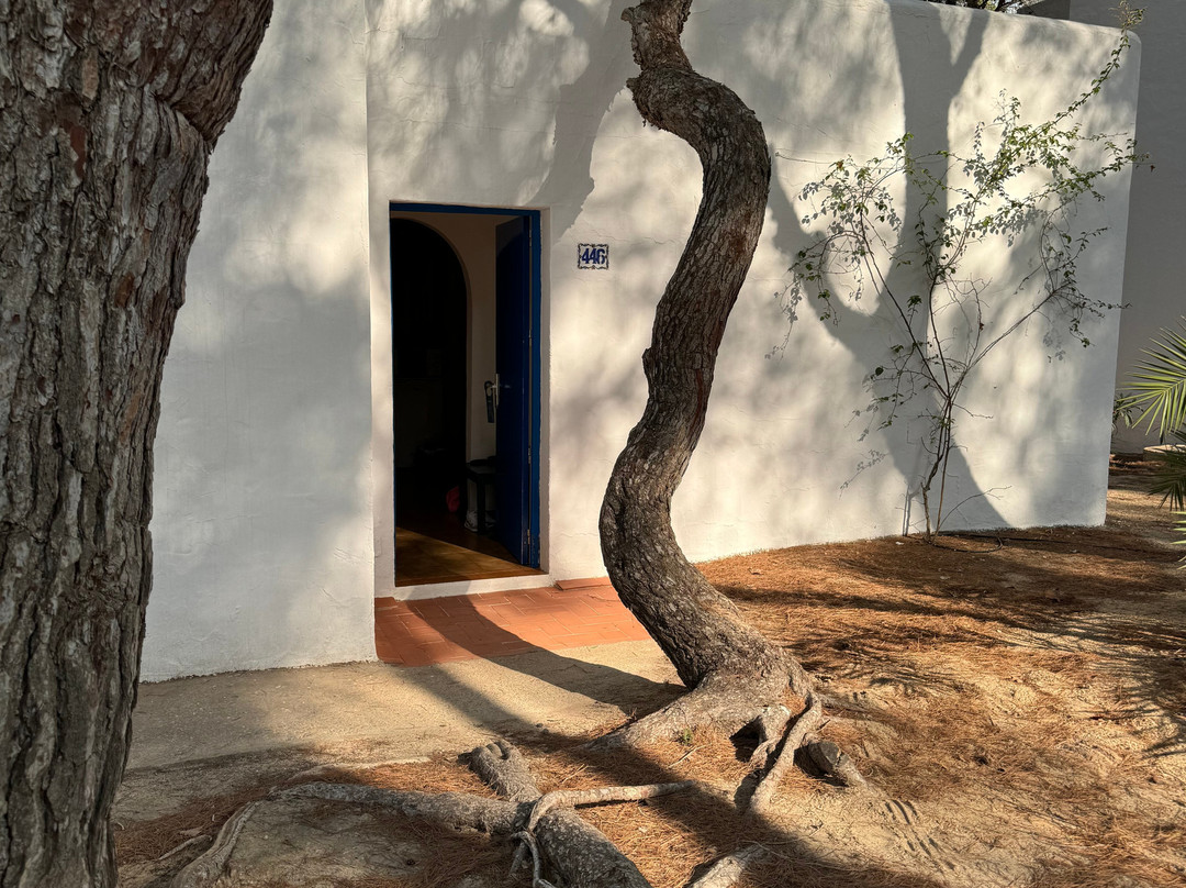 Insotel Club Maryland主图