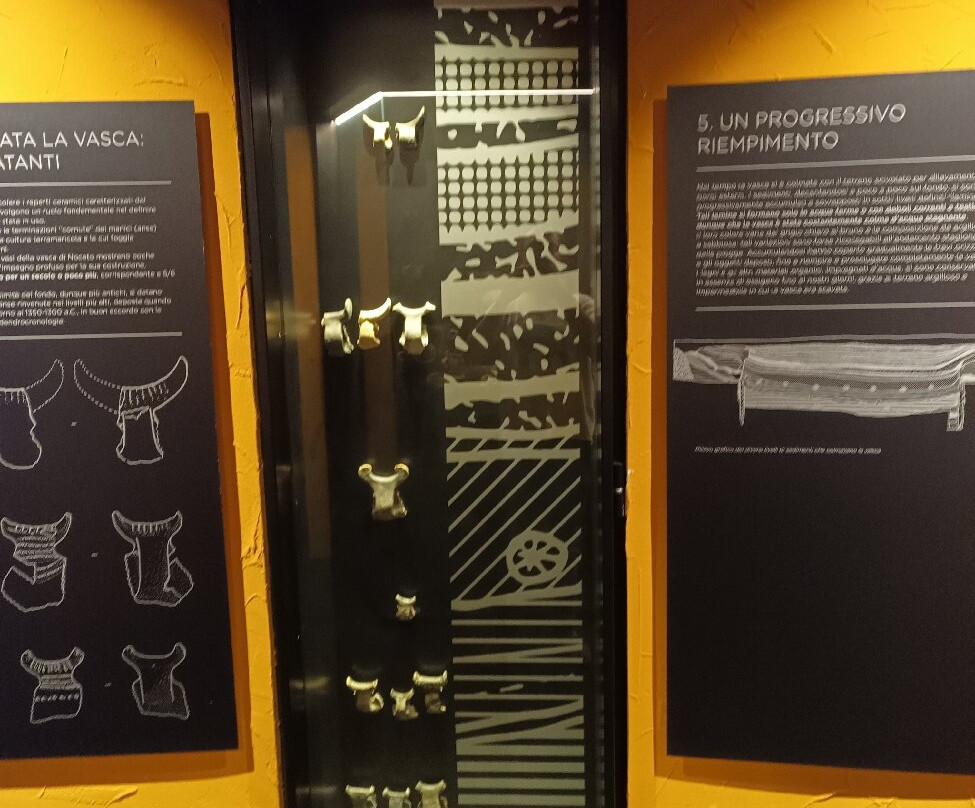 Museo Della Vasca Votiva景点图片