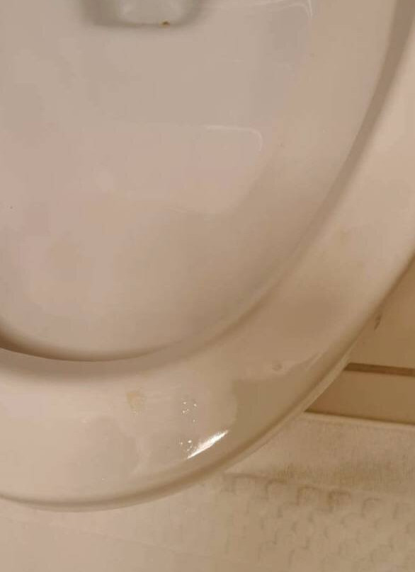 SpringHill Suites by Marriott Devens Common Center主图