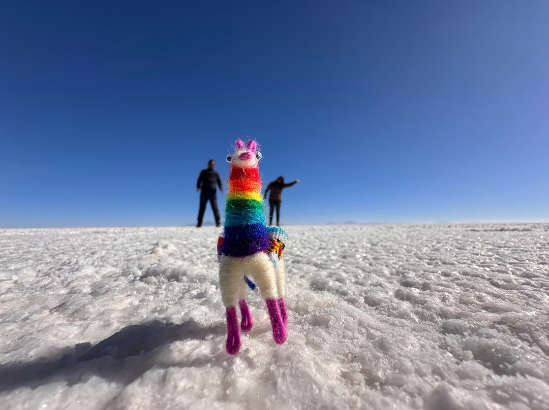 Salar Camel Experience-乌尤尼必去景点