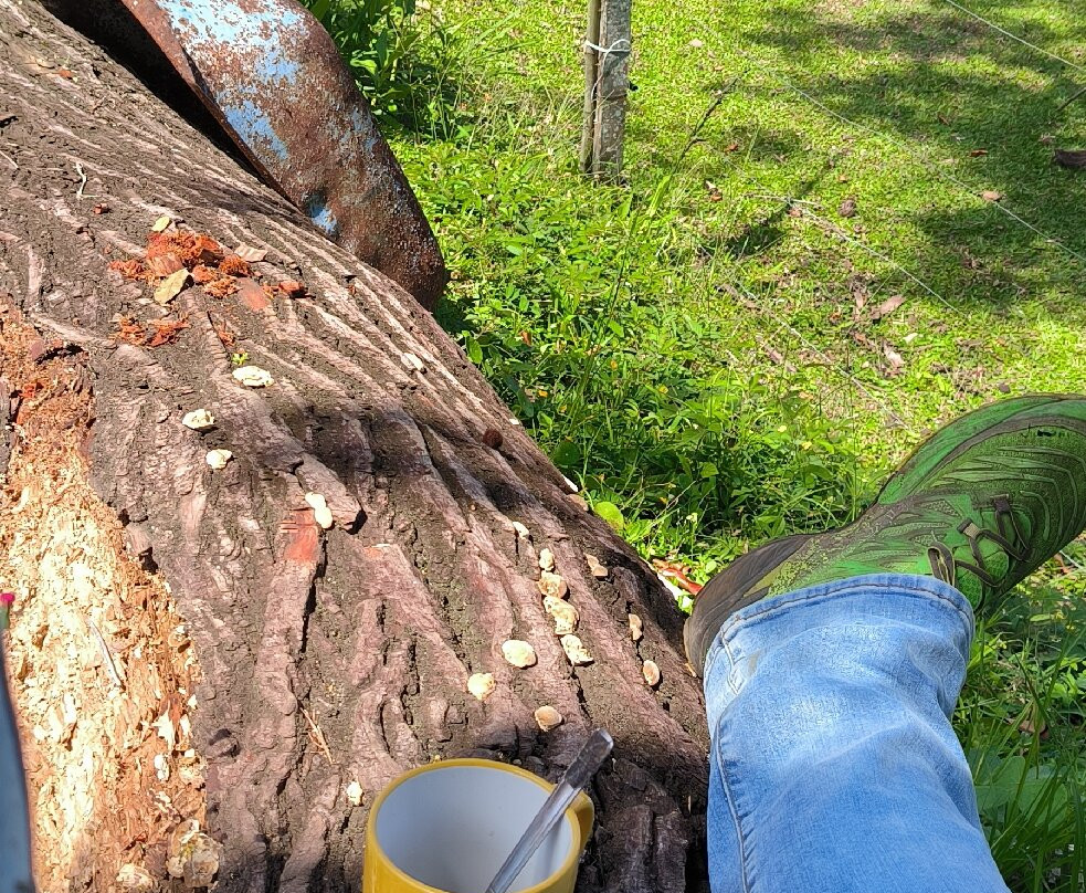 Hacienda Monte Claro主图