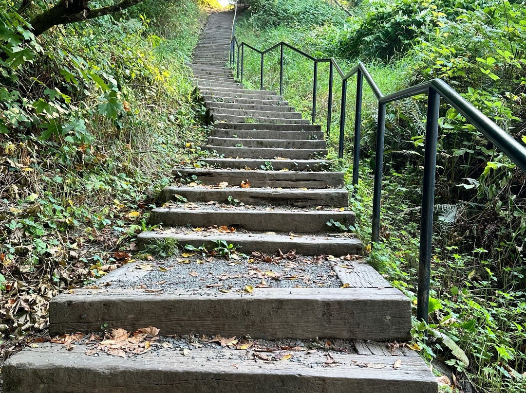 Cross Kirkland Corridor Trail-柯克兰必去景点