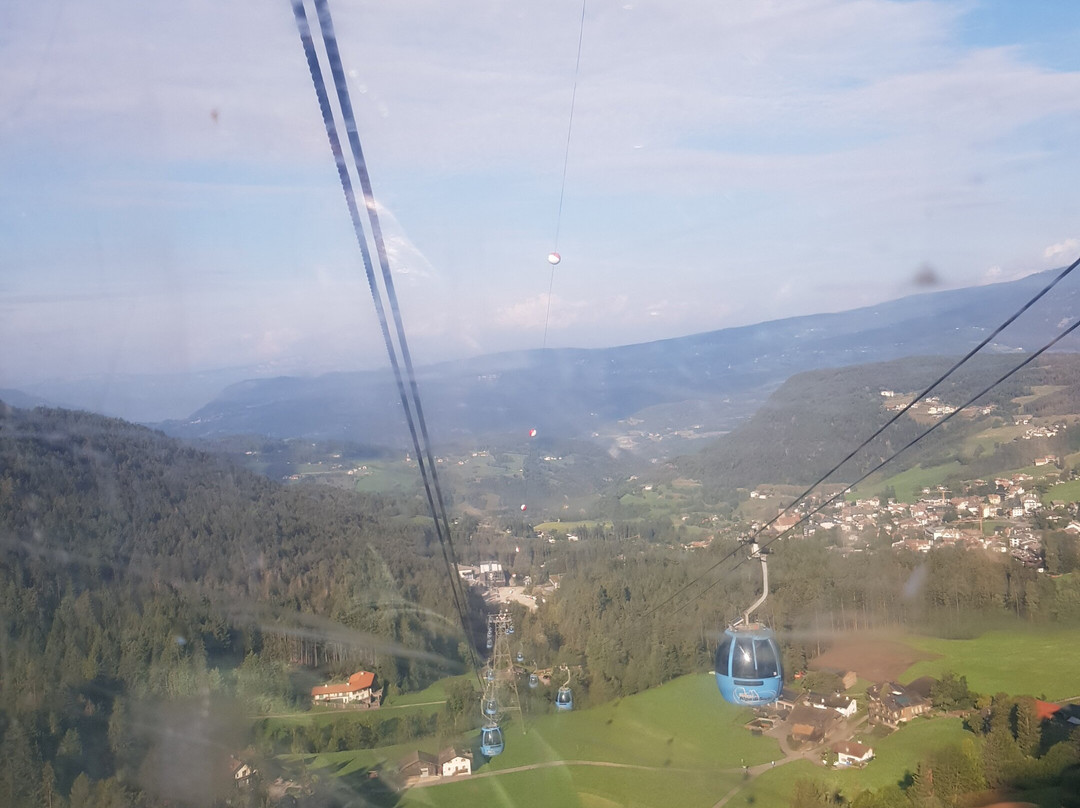 Artnatur Dolomites Hotel & Spa主图