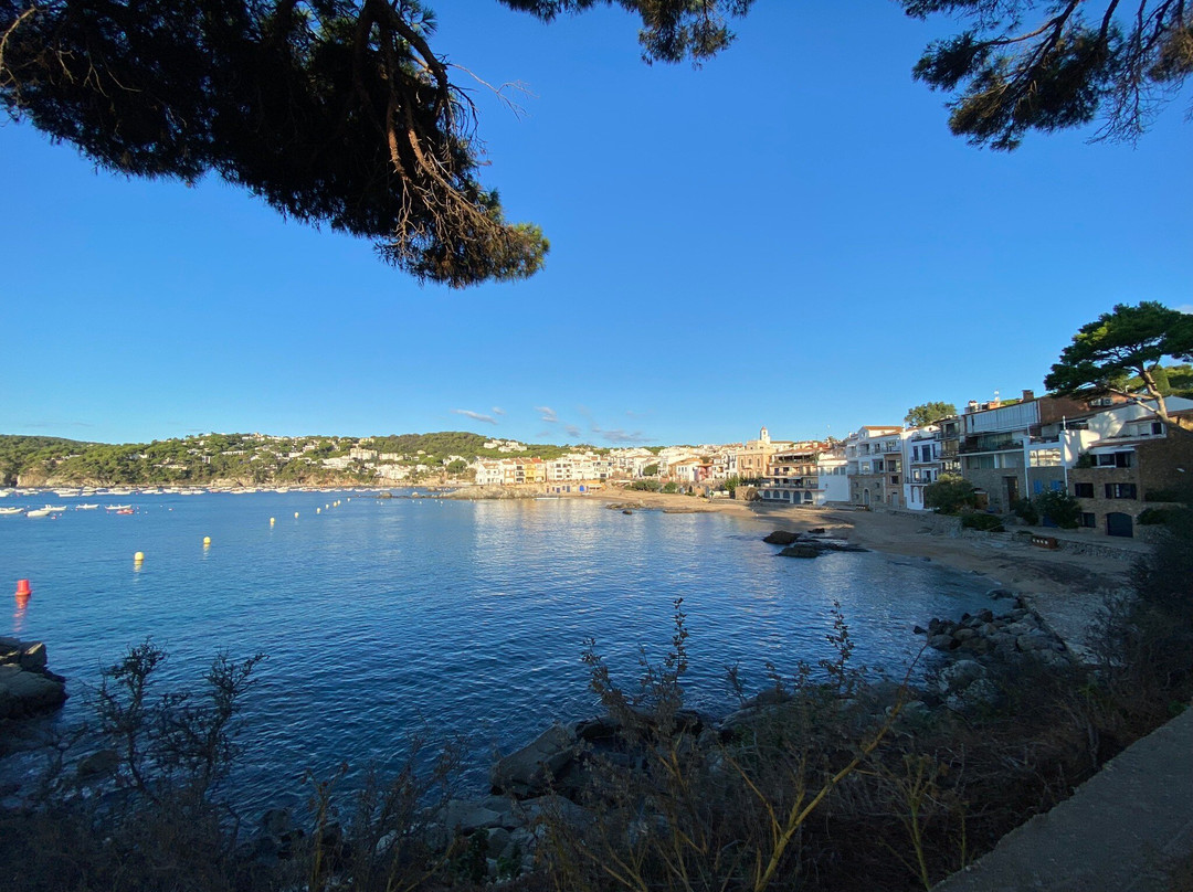 Playa De Llafranc景点图片