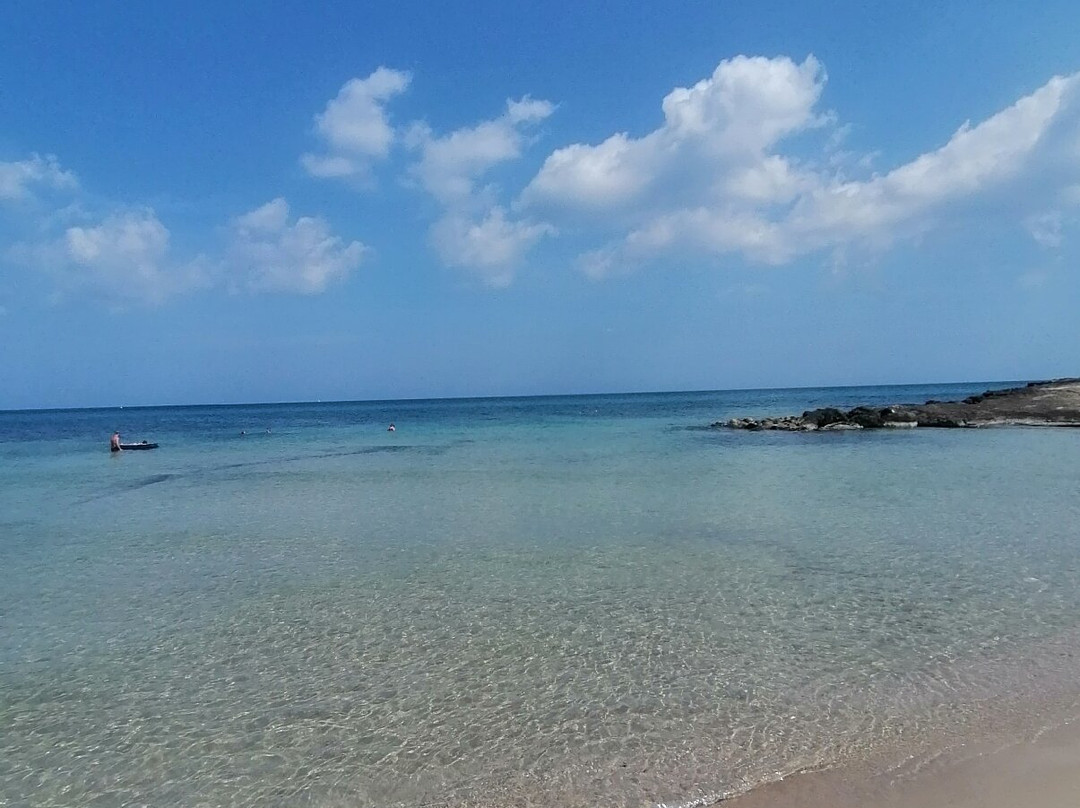 Spiaggia Torre Guaceto景点图片