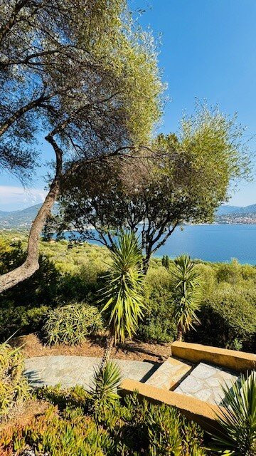 Villa Vetricella Corse Sud主图