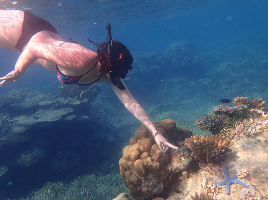 Dunia Bintang Tour & Travel-卡里蒙加瓦必去景点