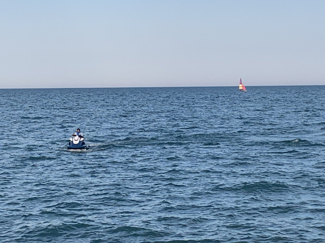 Dawes Park-埃文斯顿必去景点