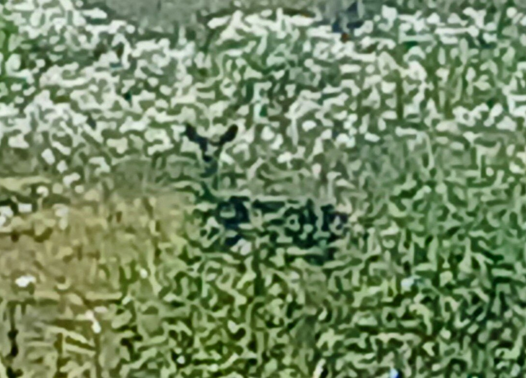 High View Park-恩尼斯必去景点