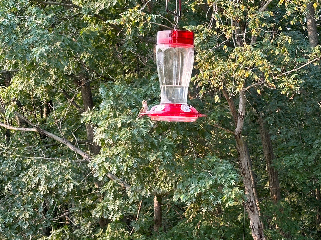 Inn At Wawanissee Point主图