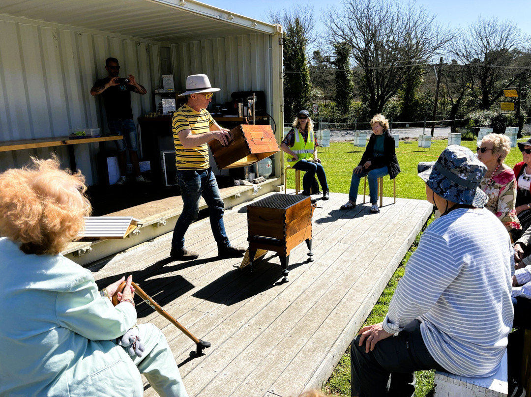 Greater Sydney Tours-Picton必去景点