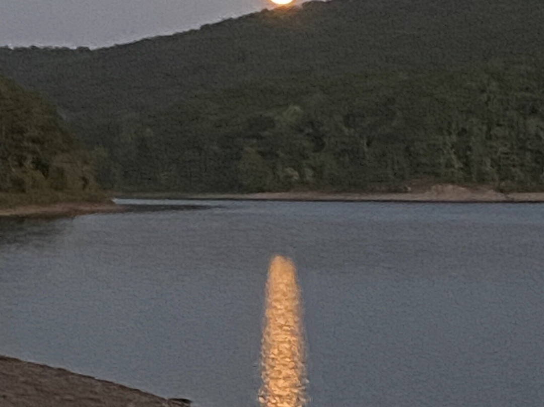 Lake Ouachita State Park-Mountain Pine必去景点