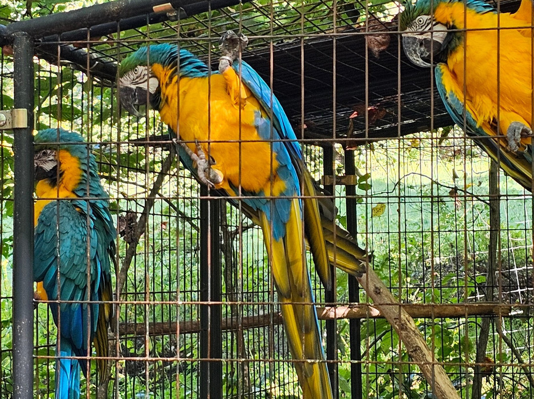 Creation Kingdom Zoo-Gate City必去景点