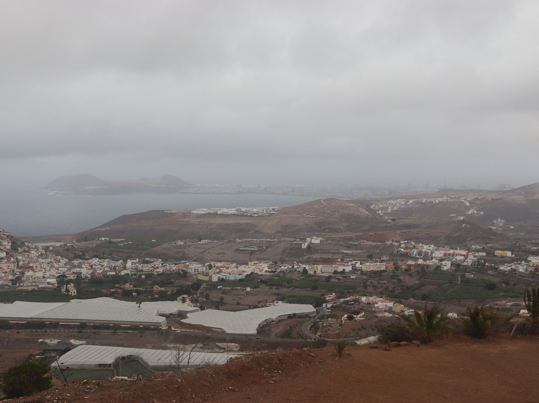 Mirador de Arucas景点图片