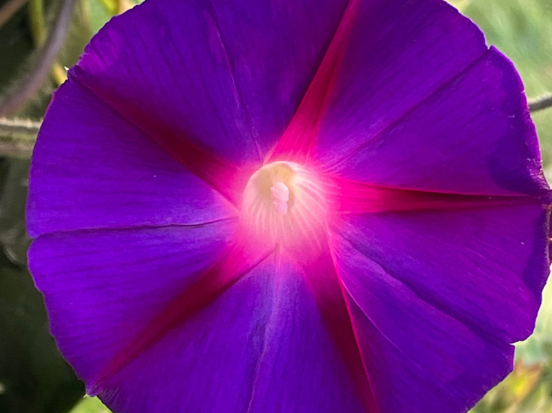 Governor's Rock Motel主图