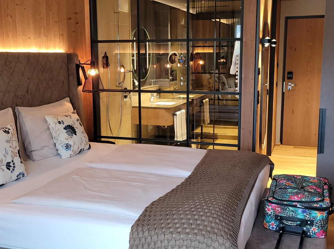 Almwellness Hotel Pierer主图