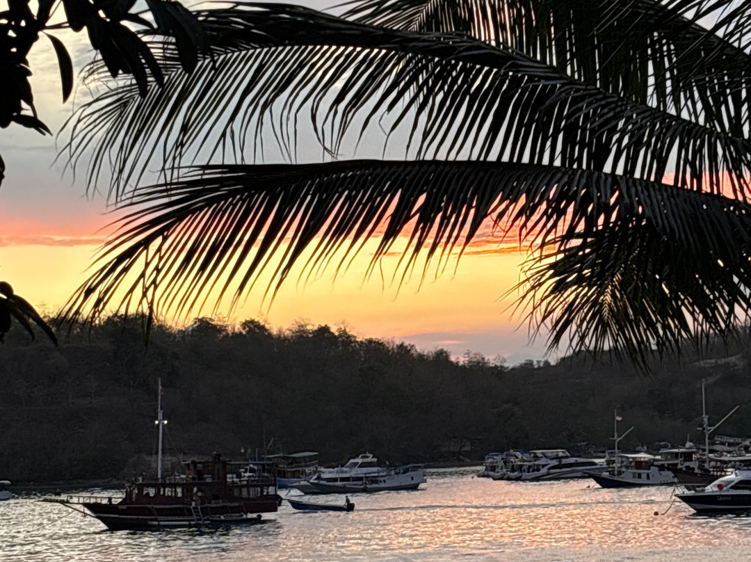 Great Komodo Tour-Labuan Bajo必去景点