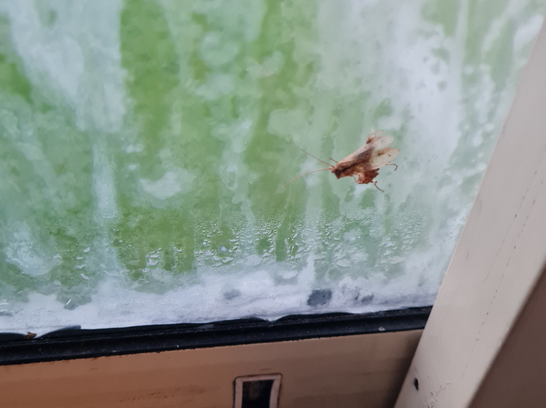 凡德瓦克酒店主图