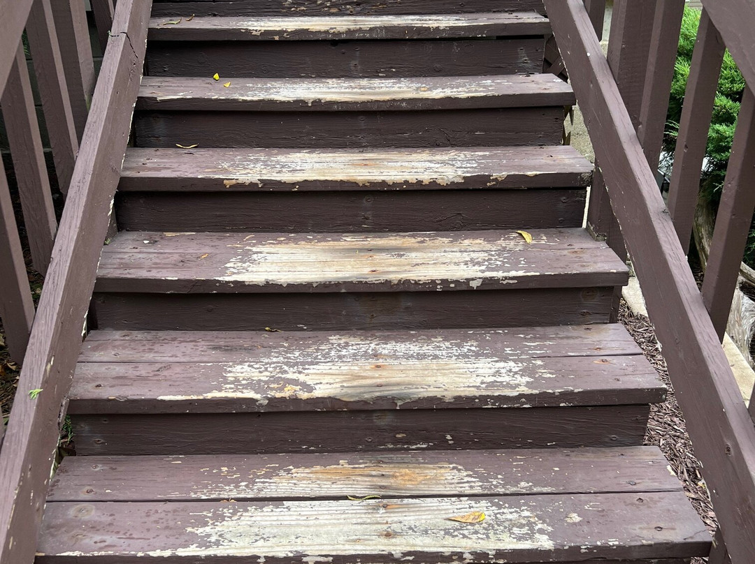 The English Inn主图