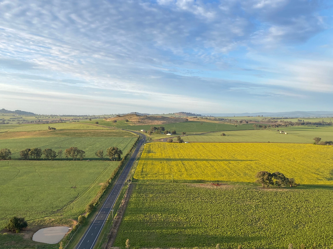 Balloon Joy Flights-Canowindra必去景点