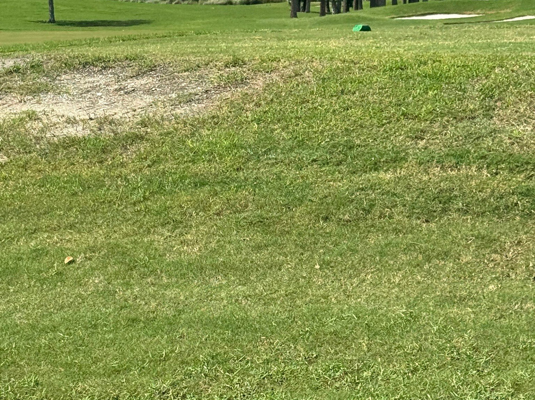 Duran Golf Club景点图片