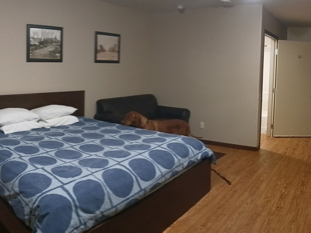 Eden Valley Motel主图