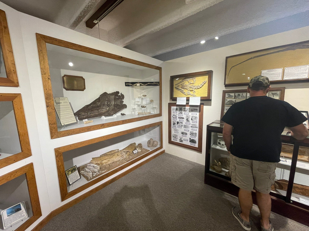 Fick Fossil & History Museum-Oakley必去景点