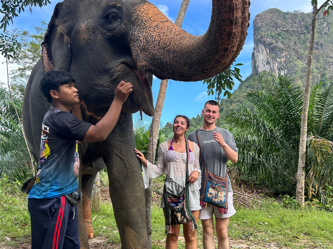 Khaothong Elephant Camp景点图片