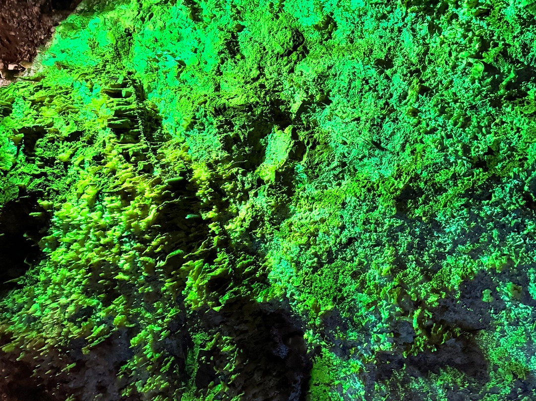 Rush Mountain Adventure Park-基斯通必去景点