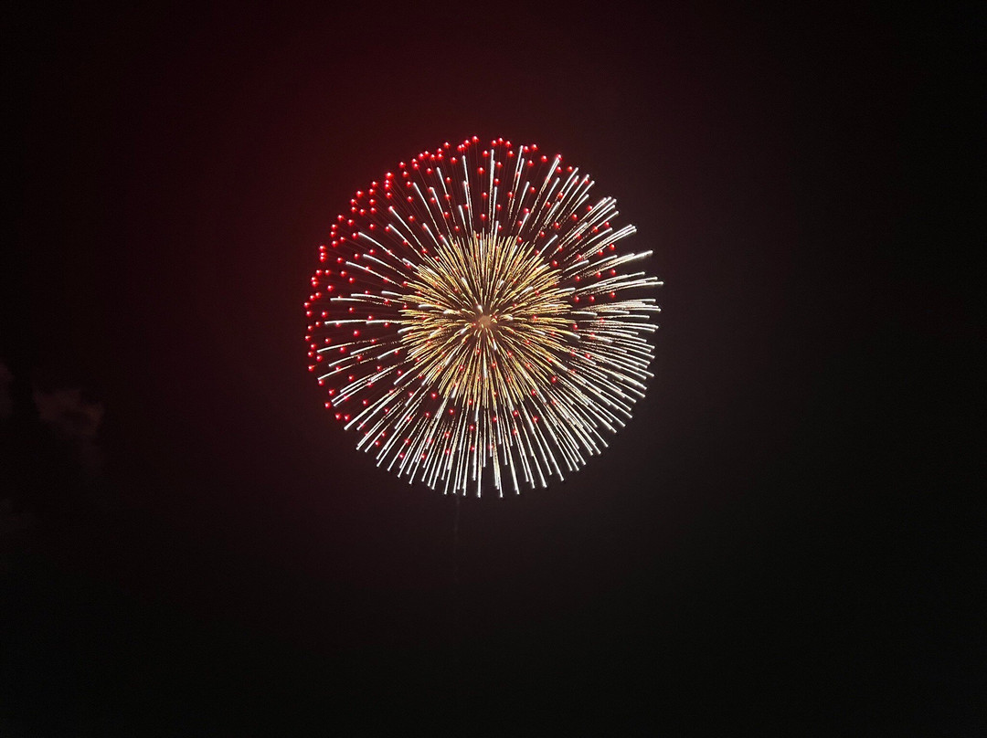 板桥花火大会-板桥区必去景点