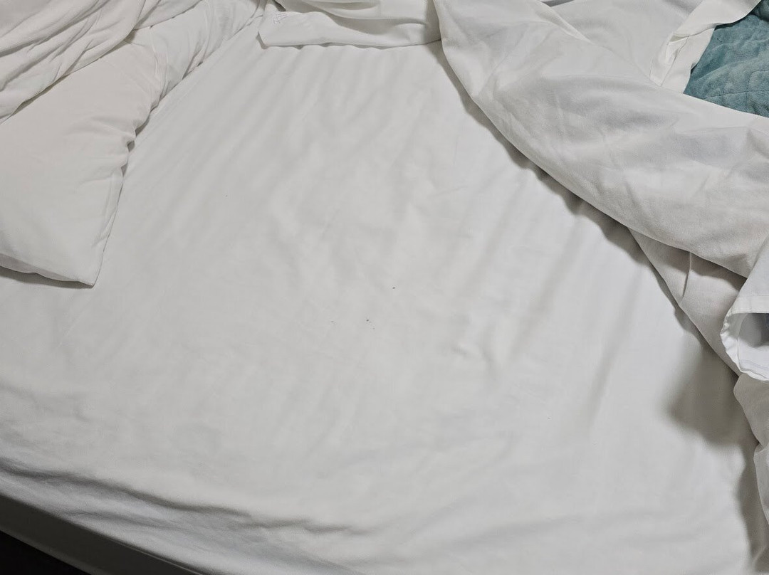 The Gilbert Inn主图