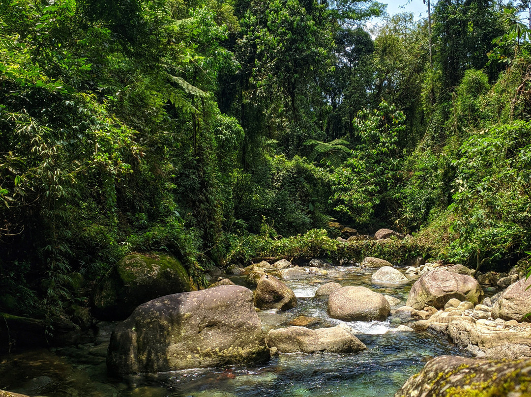 Alvico & Alves-Simao Pereira必去景点
